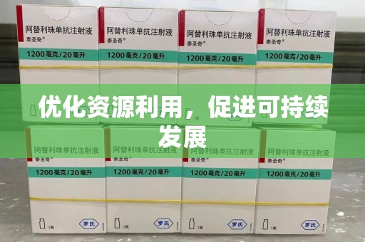 东莞优化资源利用，促进可持续发展