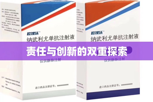 东莞责任与创新的双重探索