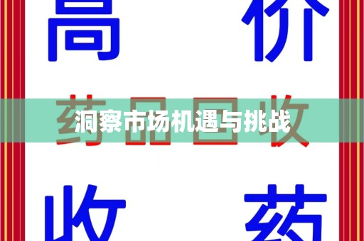 东莞洞察市场机遇与挑战