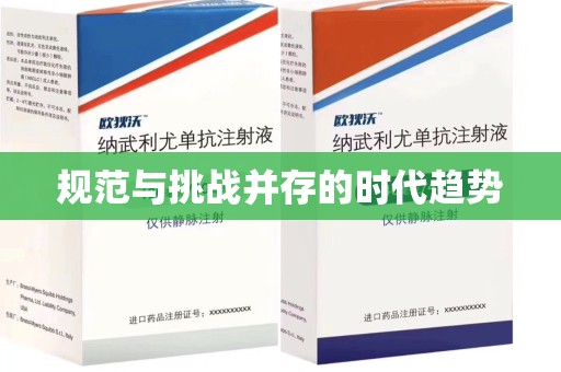 东莞规范与挑战并存的时代趋势