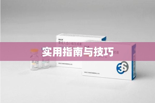 东莞实用指南与技巧