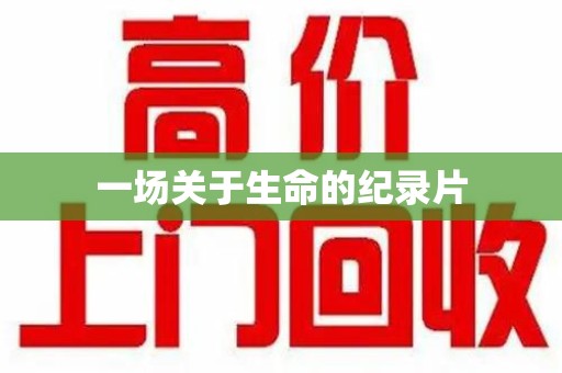 东莞一场关于生命的纪录片