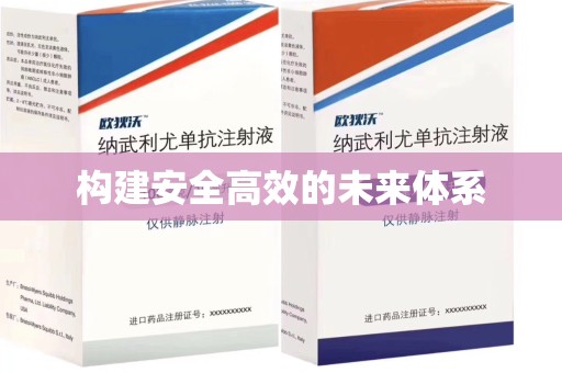 东莞构建安全高效的未来体系