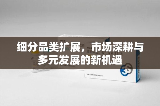 东莞细分品类扩展，市场深耕与多元发展的新机遇