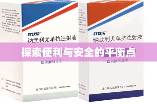 东莞探索便利与安全的平衡点