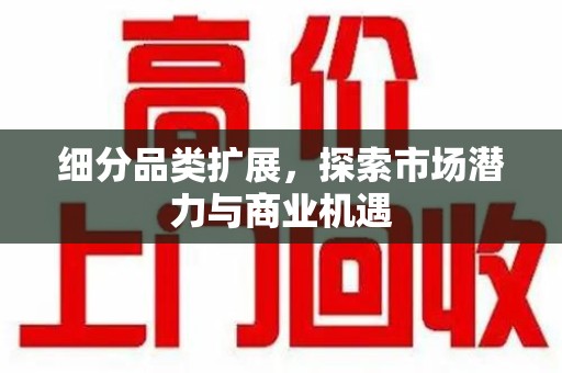 东莞细分品类扩展，探索市场潜力与商业机遇