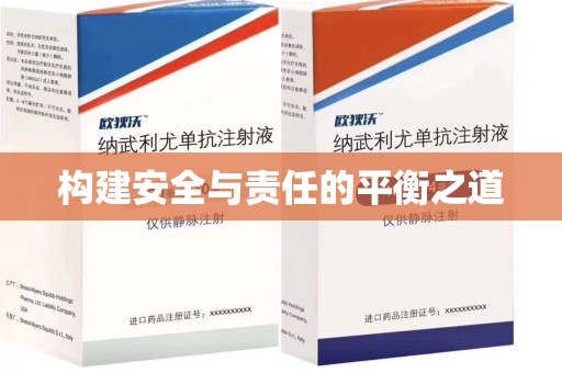 东莞构建安全与责任的平衡之道