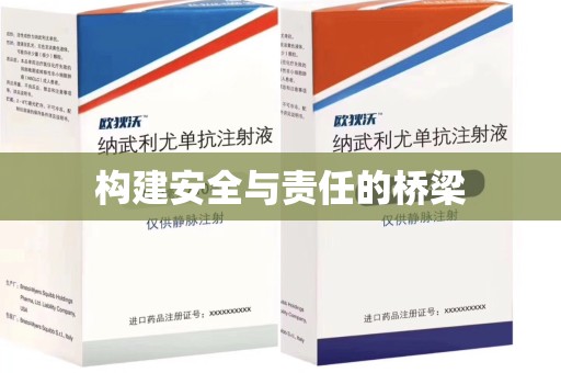 东莞构建安全与责任的桥梁