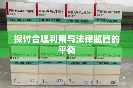 东莞探讨合理利用与法律监管的平衡