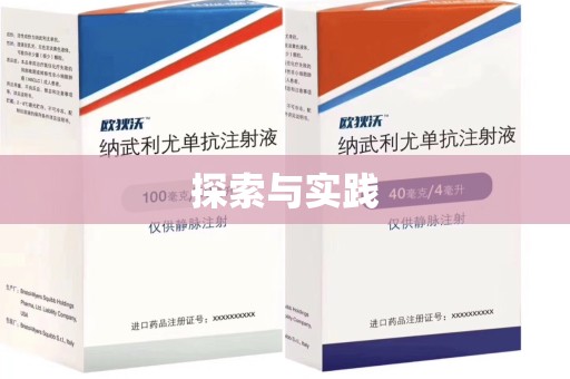 东莞探索与实践